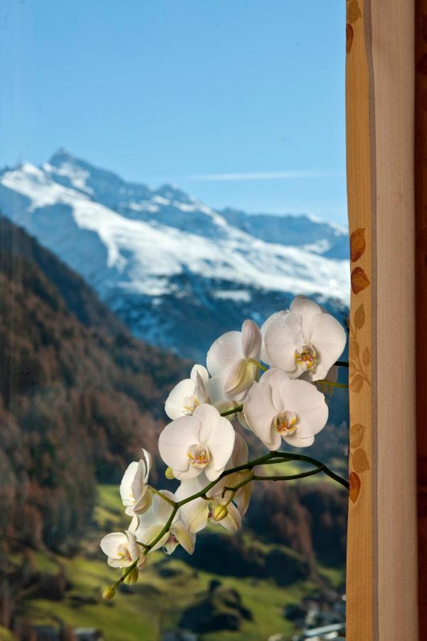 Alp Resort Tiroler Adler Sölden Extérieur photo